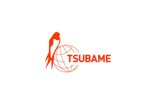 TSUBAME Report Overflow (Jan-Mar 2024)
